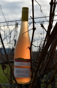 2021 Ebert's Secco rot  0,75l  11,5%vol.