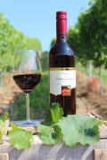 2013 Cabernet Dorsa Qualitätswein trocken 0,75l 13%vol.